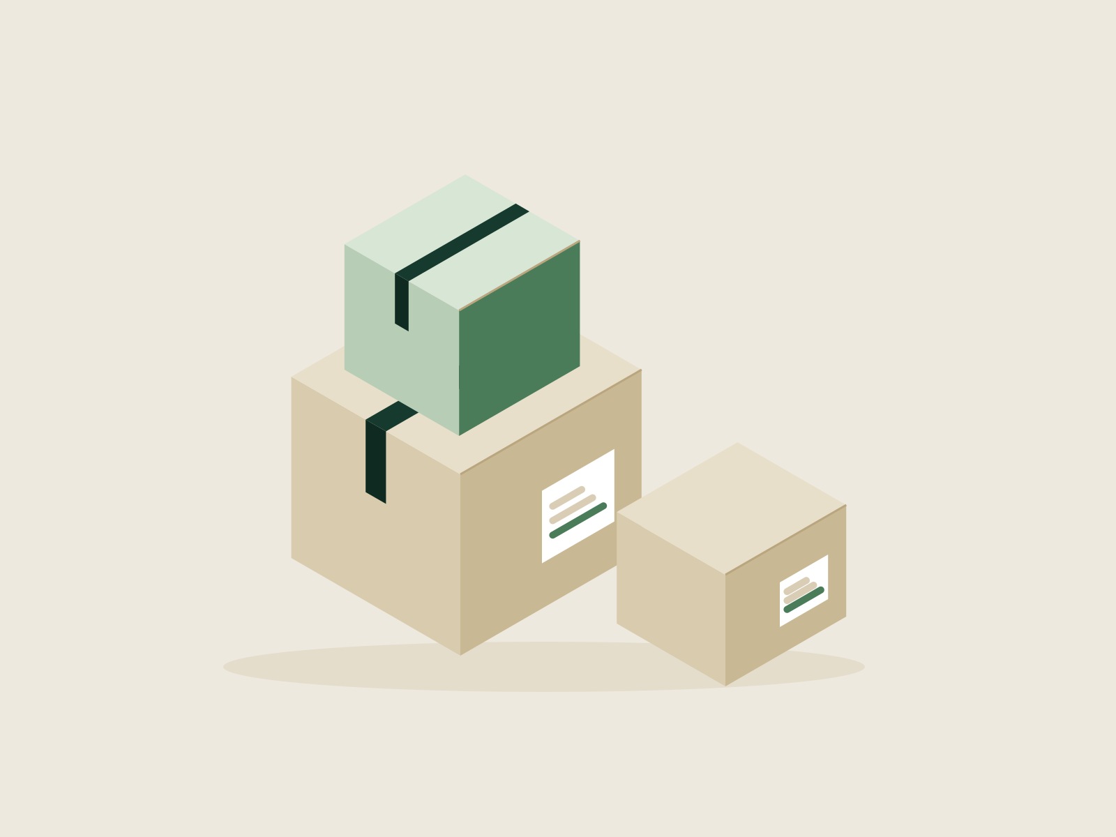 Carton box 3